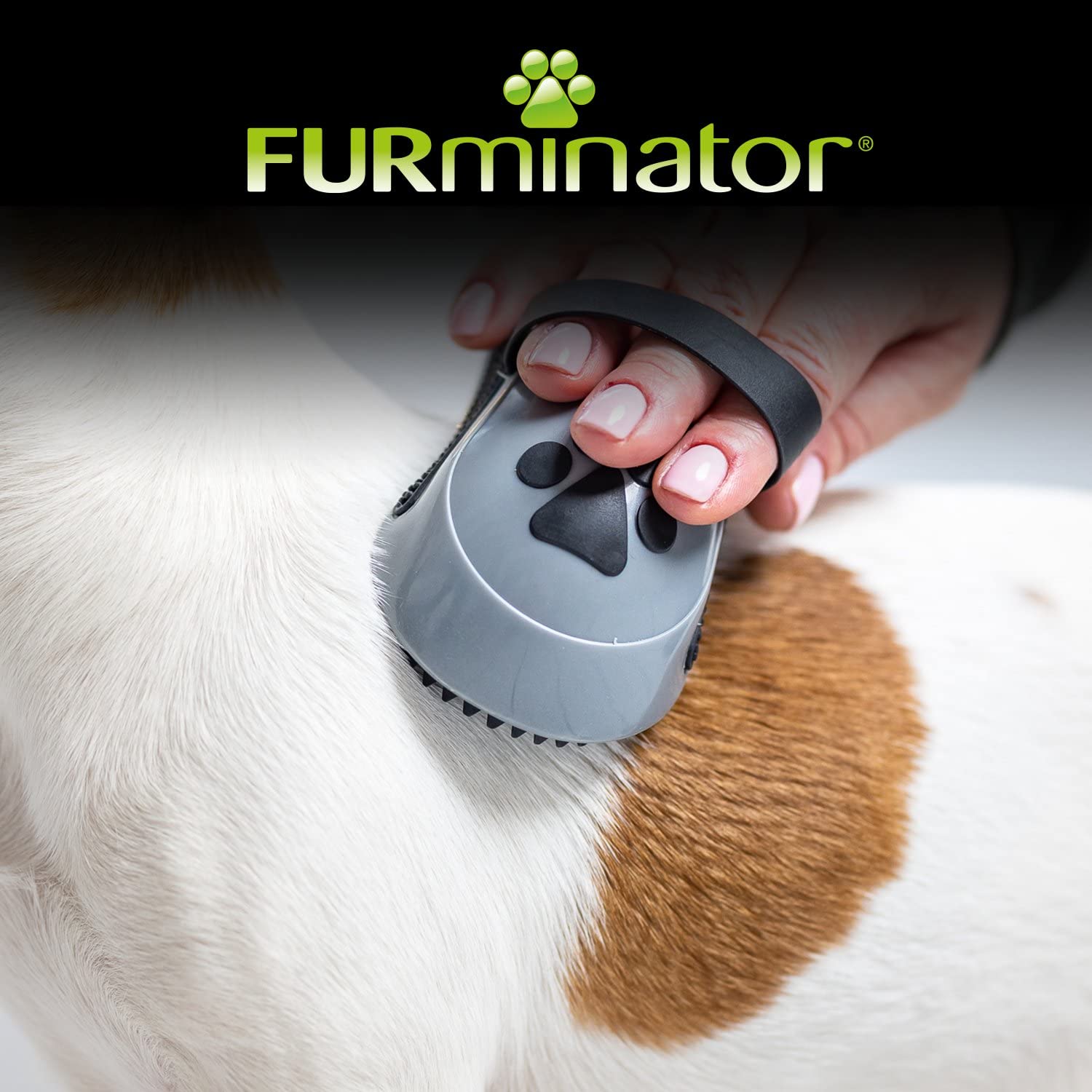 furminator-b-rsten-k-mme-striegel-fellb-rste-hund-katze-grau image 5