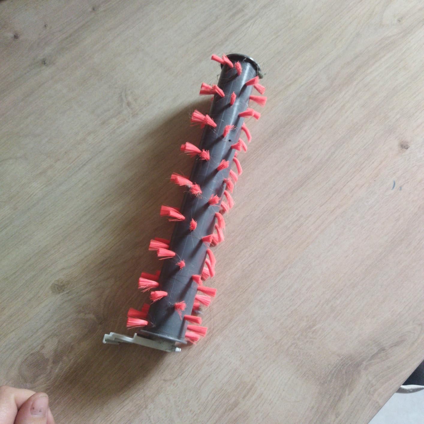 Teppich sieht wieder aus wie neu