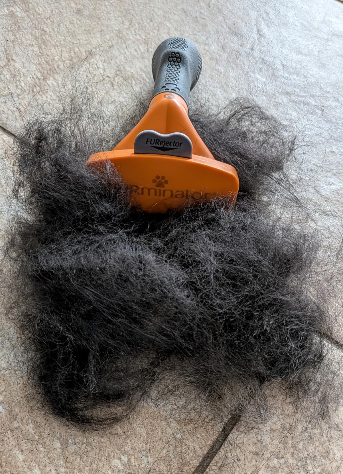 Endlich weniger Haare in der Wohnung