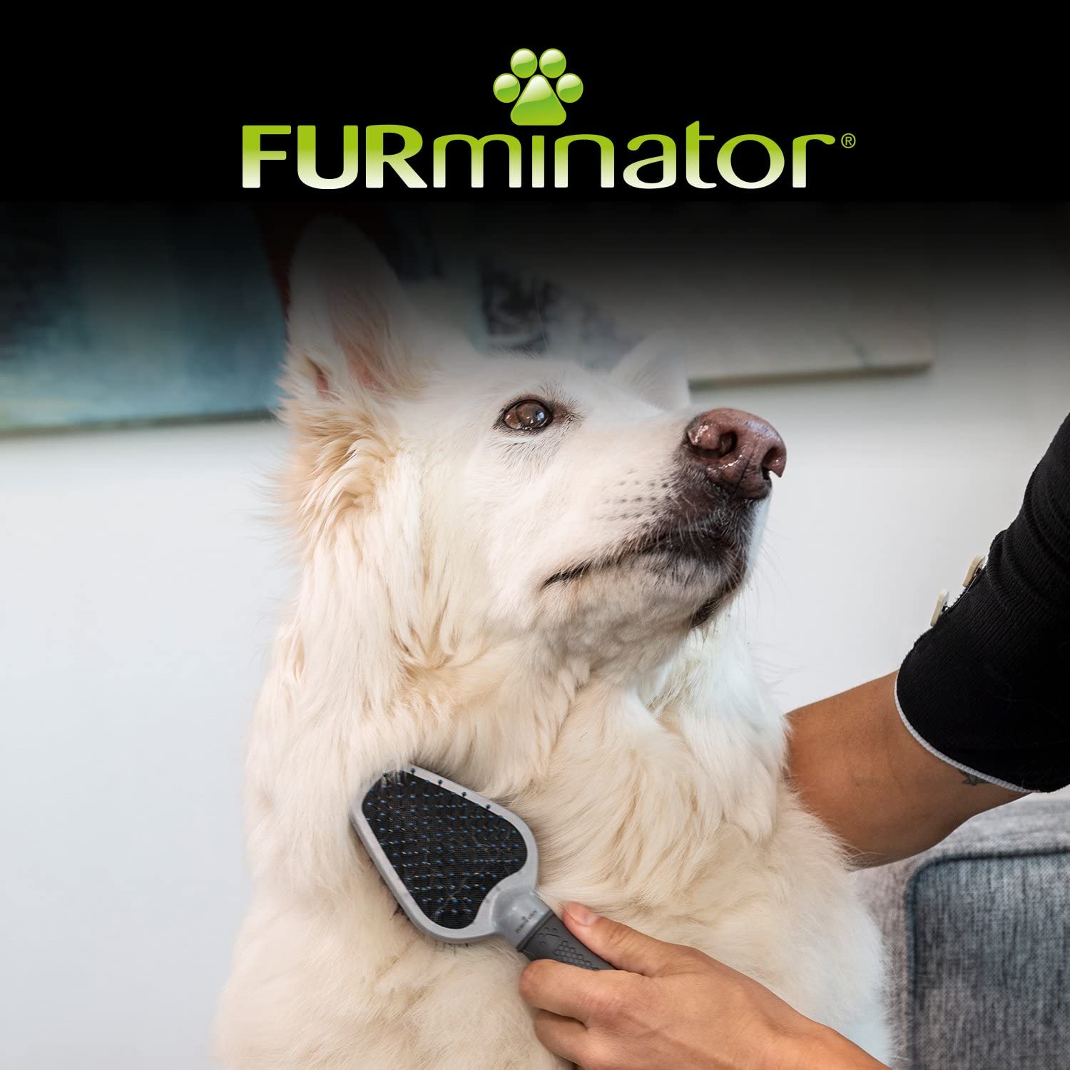 furminator-b-rsten-doppelb-rste-hund-katze-fellglanz image 6
