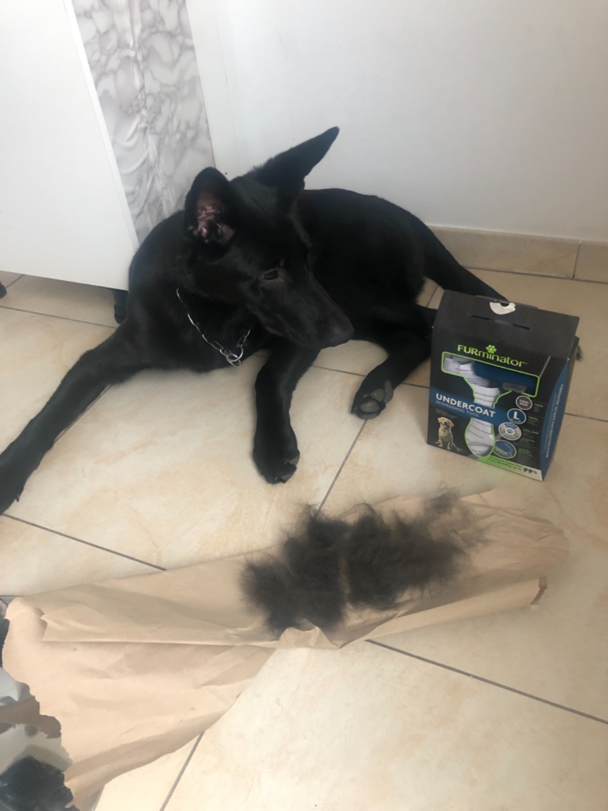 Unser Hund liebt es