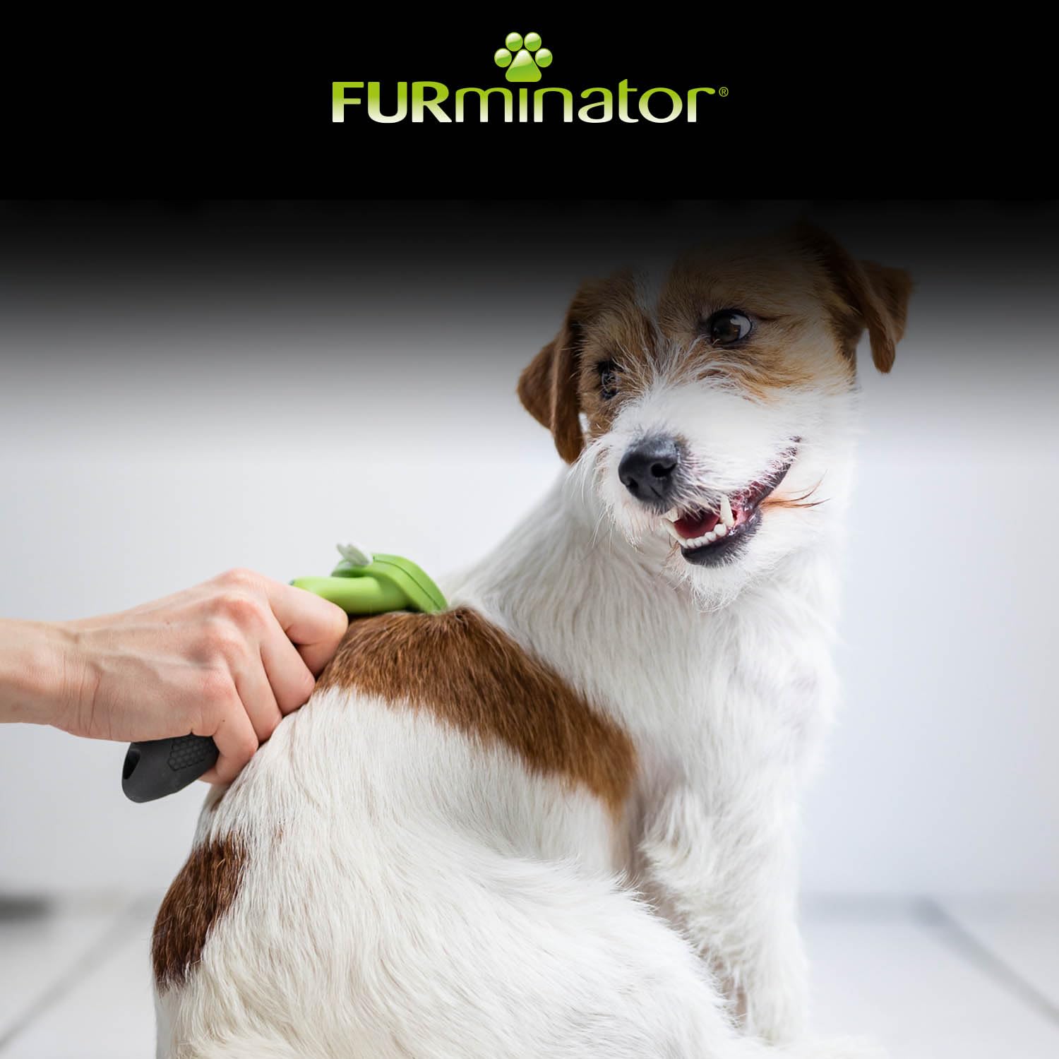 furminator-deshedding-tool-hund-gr-e-s-kurzhaar-hundeb-rste-f-r-kleine-hunde-zur image 6