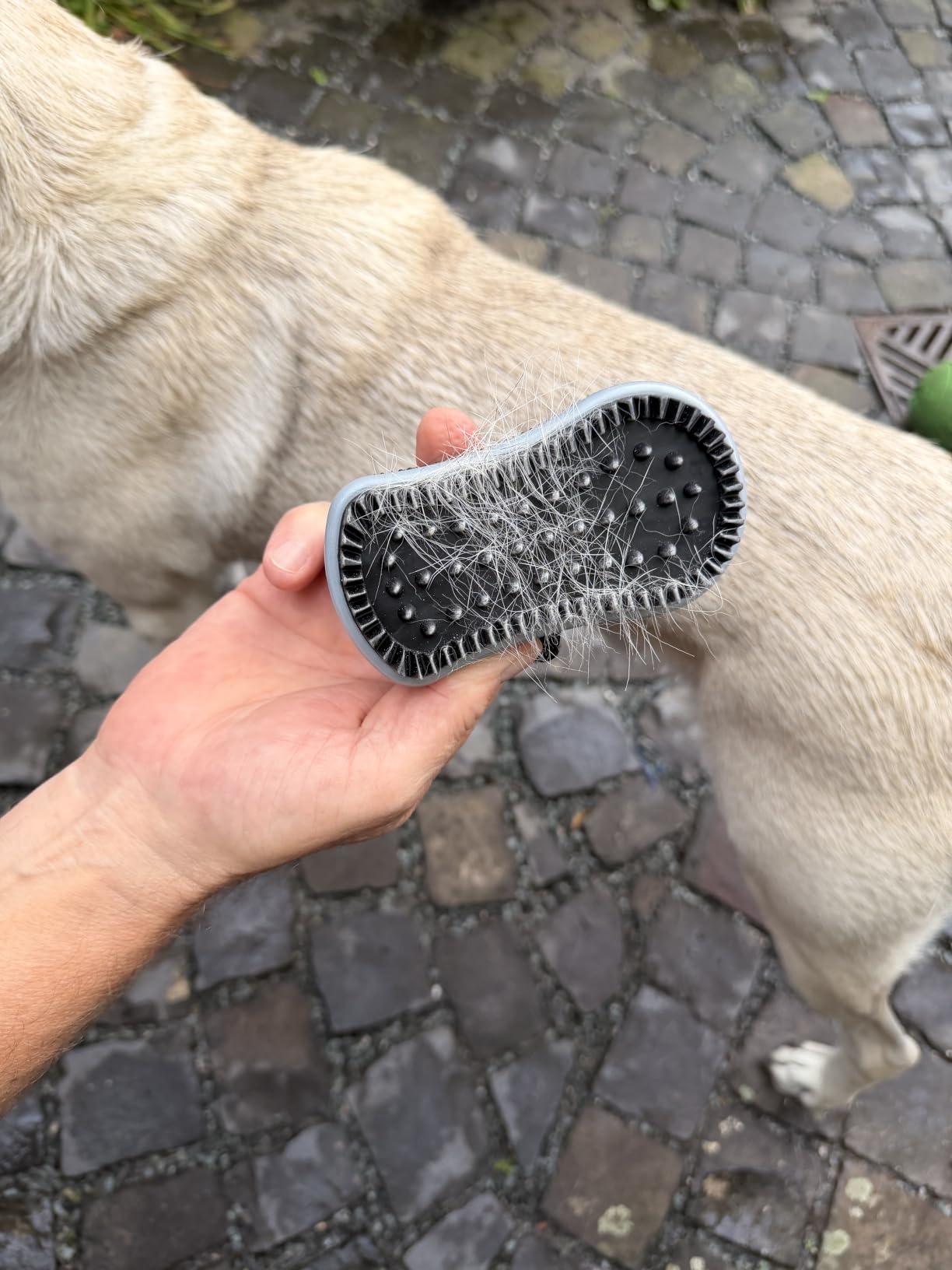 Gut für empfindliche Hunde