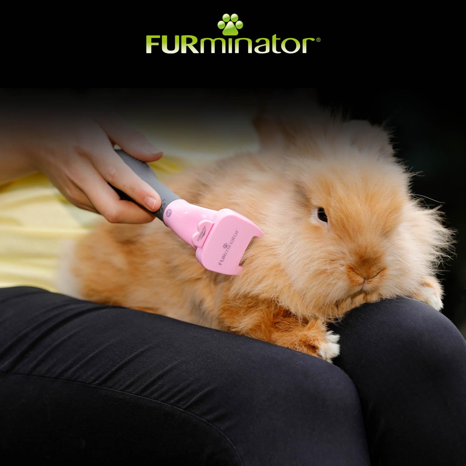 furminator-f-r-kleintiere-deshedding-unterfellb-rste image 4