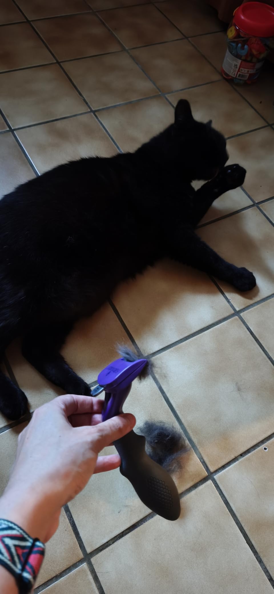 Unsere Katze liebt es