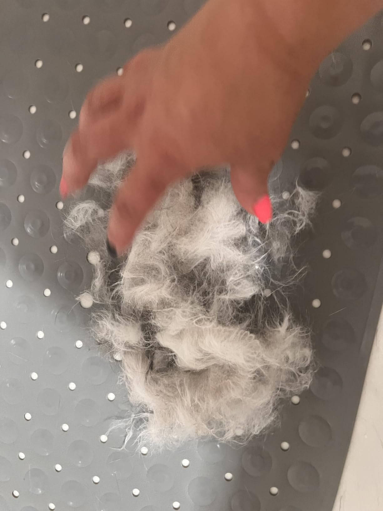 Tierarzt hat sie empfohlen