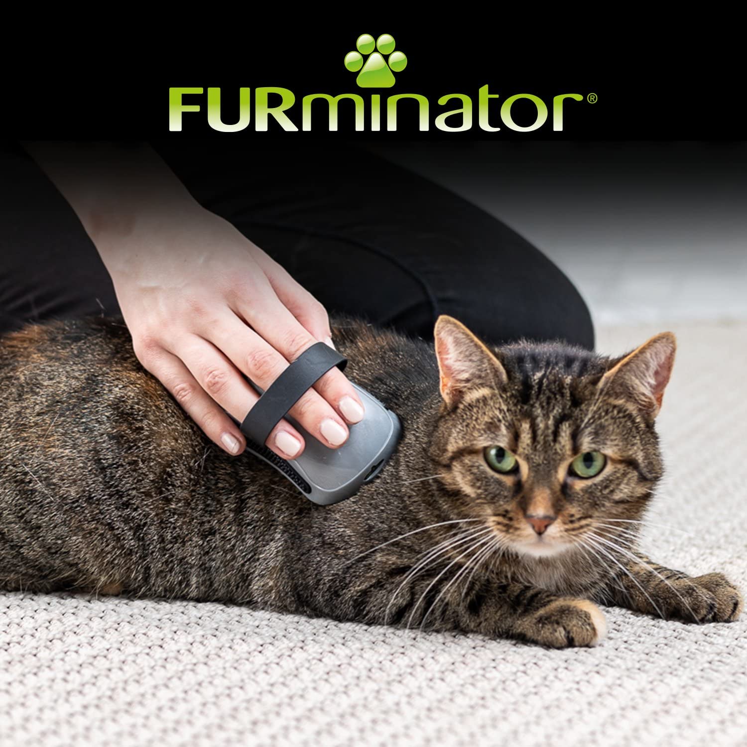 furminator-b-rsten-k-mme-striegel-fellb-rste-hund-katze-grau image 6