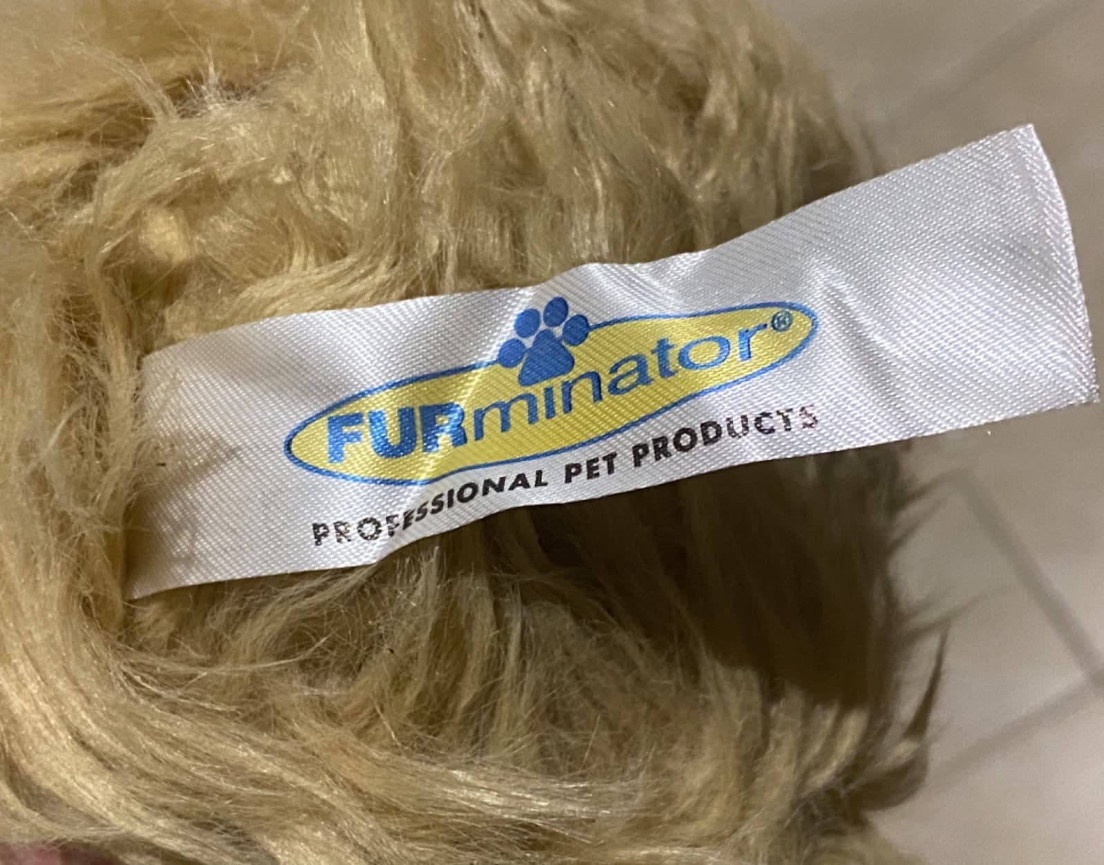 Kaufempfehlung für kleine Hunde