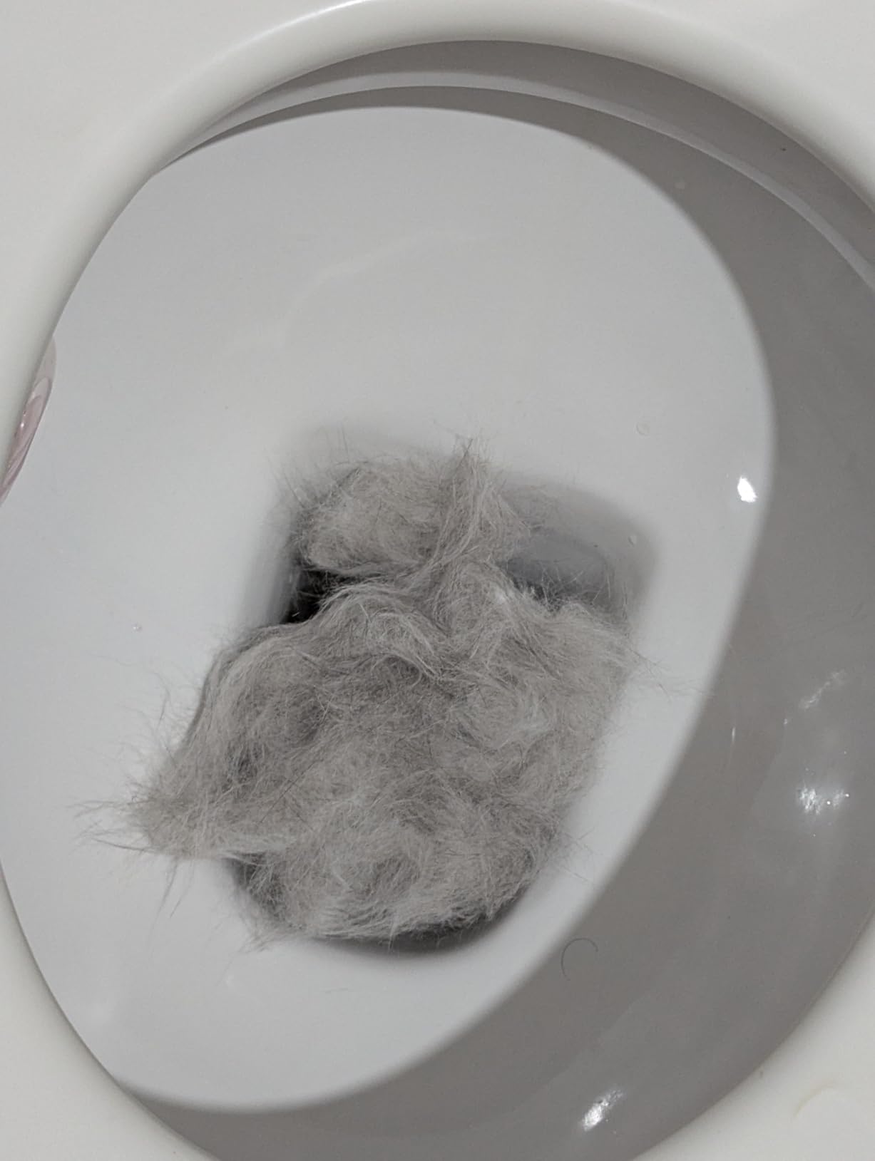Lohnt sich