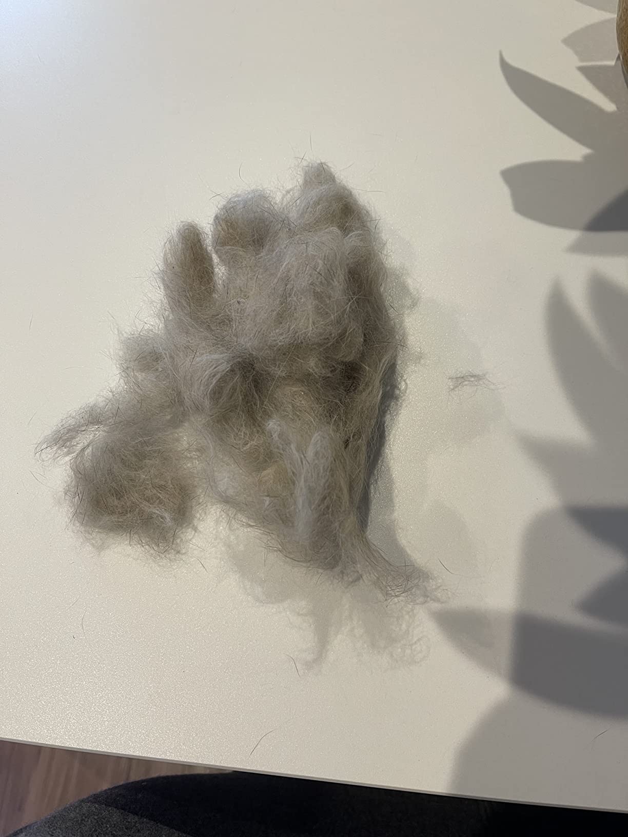 Endlich weniger Haare im Käfig