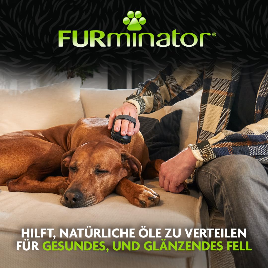 furminator-b-rsten-k-mme-striegel-l-f-r-hunde-und-pferde image 6