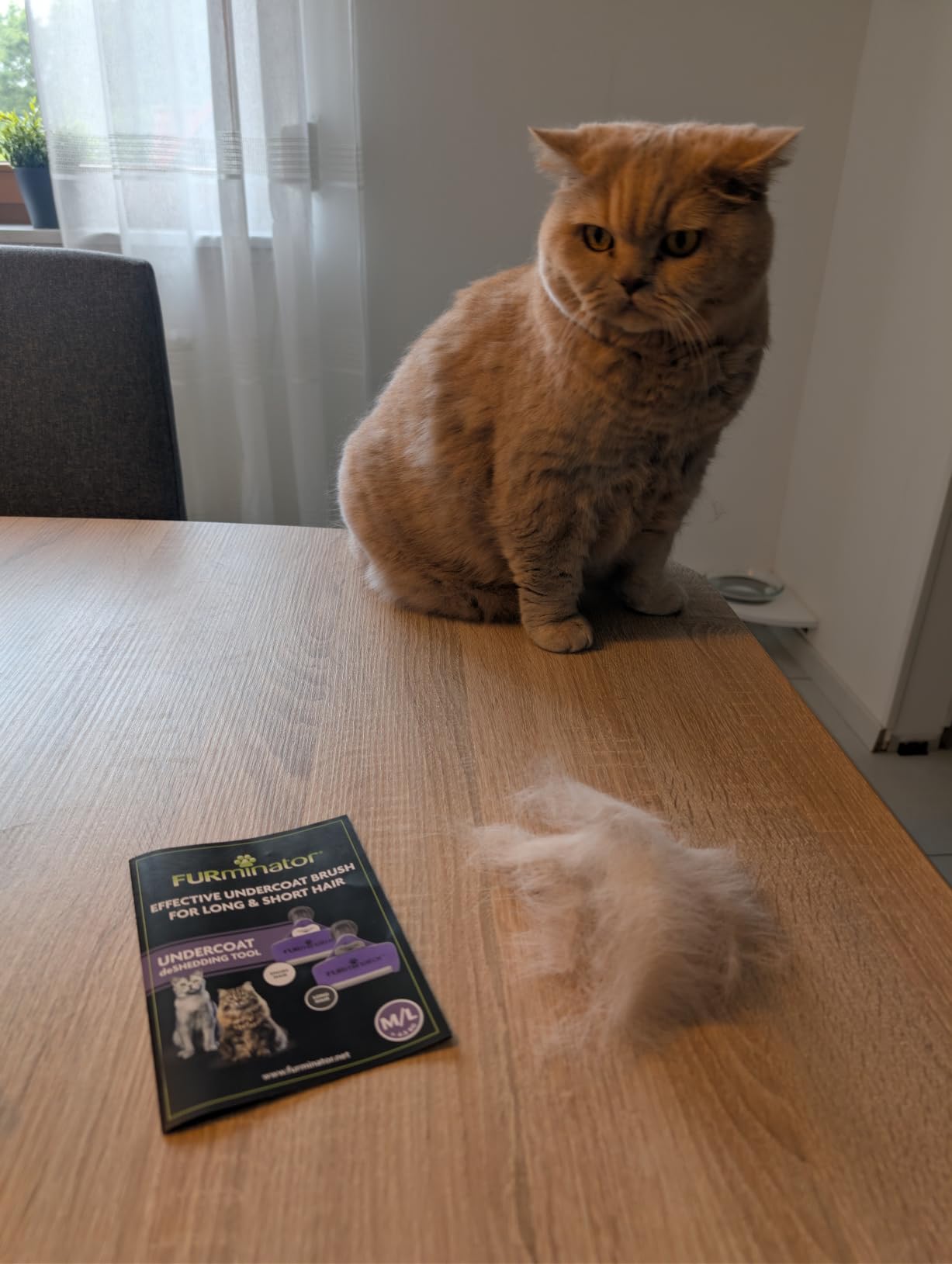 Auch für empfindliche Katzen